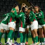 Museu do Futebol lança exposição sobre camisas da seleção brasileira