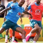 Avaí é campeão da Copa Sul-Sudeste nos pênaltis