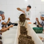 Eleições 2026: saiba o que é permitido e proibido no dia da votação