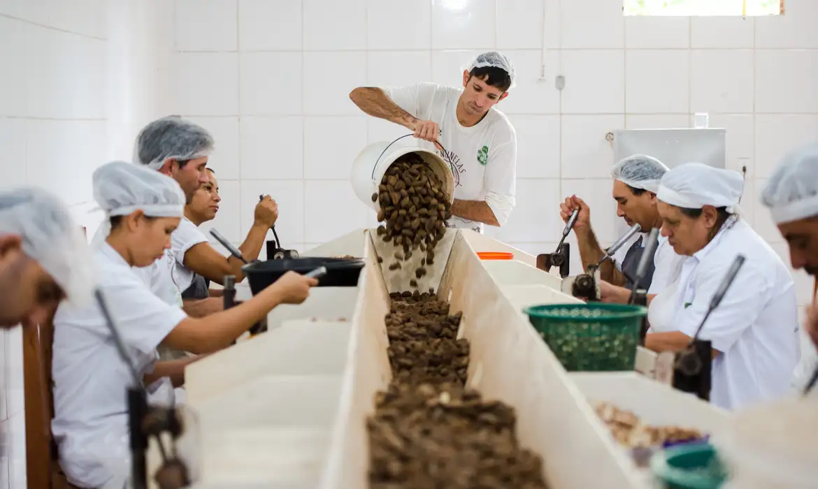 Consulta sobre bens sustentáveis no acordo Mercosul–UE acaba na quarta