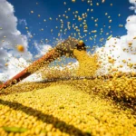 Vendas no comércio crescem 0,5% em junho e sobem 1,9% no 1º semestre