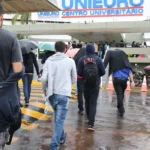 Vôlei brasileiro passa a exigir teste genético para atletas mulheres