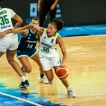 Arthur Elias aprova logística em caminho do Brasil na Copa Feminina