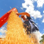 Aplicativo do Tesouro Direto é desativado a partir desta segunda-feira