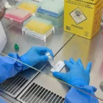 Nova diretriz muda tratamento da tireoide na gestação
