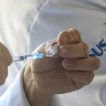 Saiba os sintomas e os tratamentos para a febre do Nilo Ocidental