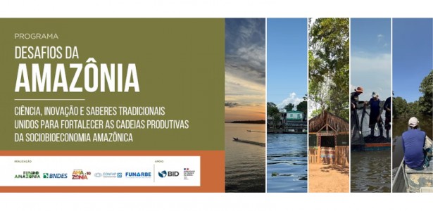 Iniciativa Amazônia+10 lança chamada para fortalecer cadeias da sociobioeconomia na Amazônia