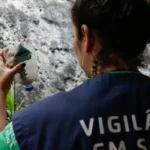 PF faz operação contra fraudes no registro de armas de colecionadores