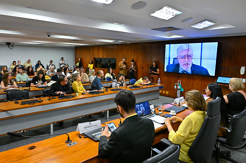 Na CDH, especialistas propõem medidas para prevenir automutilação e suicídio