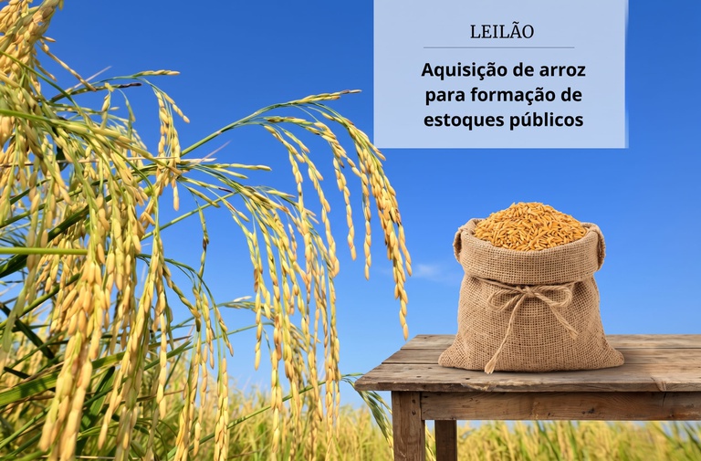 Conab realiza primeiro leilão de compra de arroz para formar estoques públicos