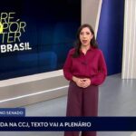 Pesquisadores destacam a urgência de transformar dados científicos em políticas contra a poluição plástica