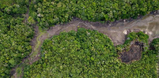 Temperatura máxima na estação seca já aumentou mais de 3 °C em área preservada da Amazônia