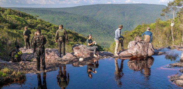 Do Aracá ao Aracazinho: expedição científica coleta dezenas de espécies possivelmente novas na Amazônia