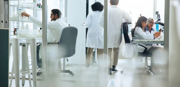 FAPESP e CNPq vão apoiar a formação de novas redes de excelência em pesquisa