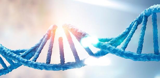 Falha no reparo do DNA materno compromete desenvolvimento embrionário e gera mutações pós-fecundação