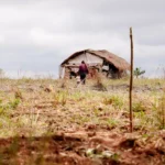 Cientistas propõem dez regras para a restauração de ecossistemas