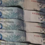 Compras de milho preveem até 224 mil toneladas para formação de estoques
