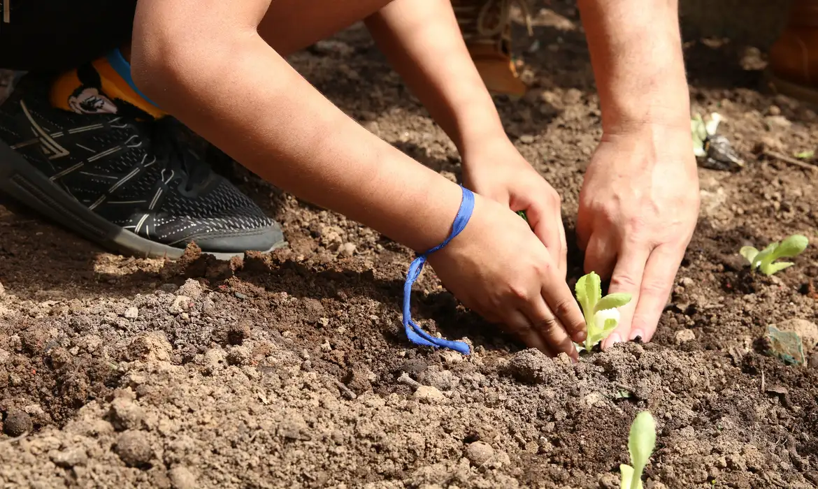 Entidades pedem apoio de candidatos em defesa da agroecologia
