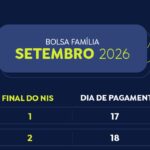 Produção florestal no país alcança recorde de R$ 47,9 bilhões em 2025