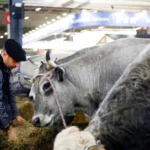 Economia da Argentina recua 1,7% em agosto sob risco de recessão
