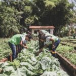 Aprovada ampliação do adicional de fronteira para servidores federais