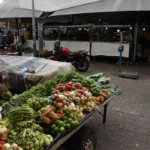 Brasil é 2º maior importador de pesticidas proibidos na UE, diz Oxfam