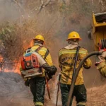 Pacote para MEIs prevê Pix de R$ 5 mil, perdão de dívida e novo limite