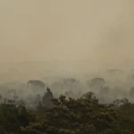 Quedas: mais de 330 mil crianças foram internadas no Brasil em 10 anos