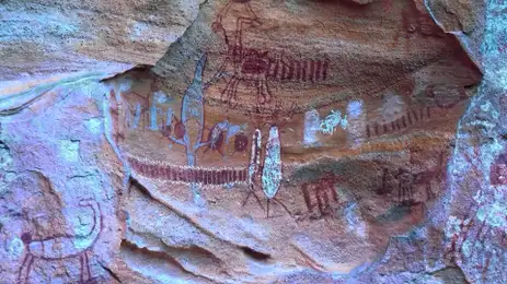 Serra da Capivara: A Pré-História em Cena