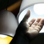 Experimento mostra que truta de cor amarela pode ser mais produtiva que a variedade comum
