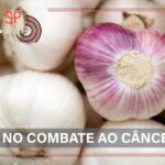 CMA: ‘Tarifaço’ afeta soberania, enquanto terras-raras oferecem riscos e oportunidades
